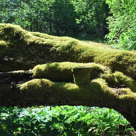 Kirjakkalan Ruukkikylae Teijo الغرفة الصورة