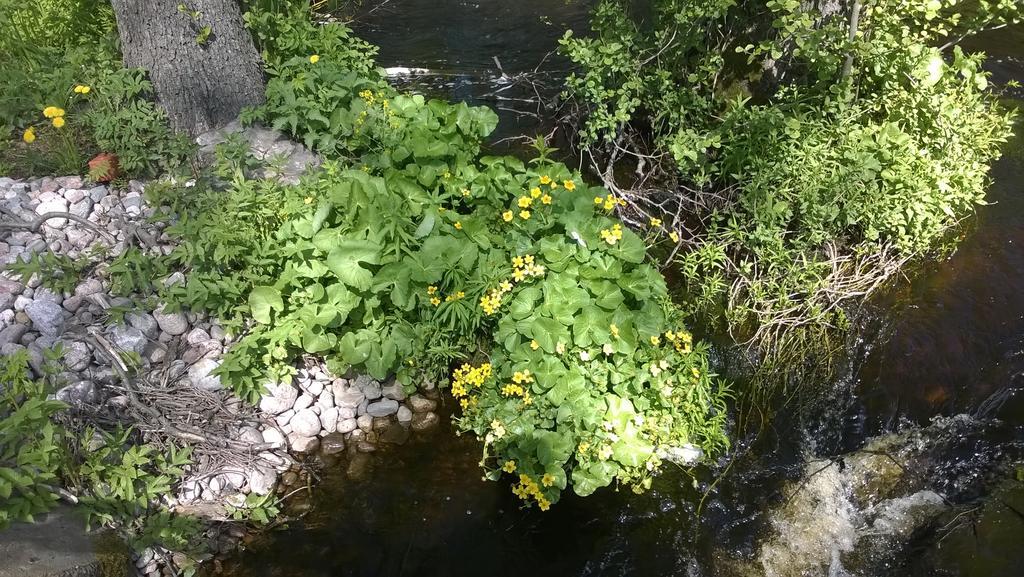 Kirjakkalan Ruukkikylae Teijo المظهر الخارجي الصورة